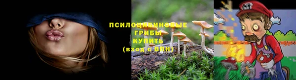 соль ск Михайловка